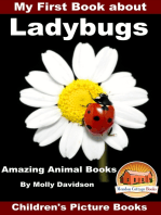 My First Book about Ladybugs