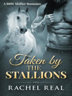 Taken by the Stallions: Blackwood Stallions, #3