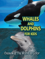 Whales and Dolphins for Kids : Oceans of The World in Color: Marine Life and Oceanography for Kids
