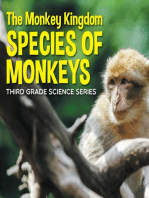 The Monkey Kingdom (Species of Monkeys) : 3rd Grade Science Series: Monkey Books for Kids
