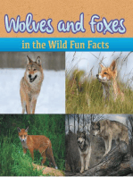 Wolves and Foxes in the Wild Fun Facts: Animal Encyclopedia for Kids - Wildlife