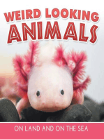 Weird Looking Animals On Land and On The Sea: Animal Encyclopedia for Kids - Wildlife