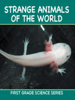Strange Animals Of The World : First Grade Science Series: First Grade Books