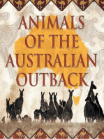 Animals of the Australian Outback: Animal Encyclopedia for Kids - Wildlife