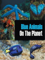 Blue Animals On The Planet: Animal Encyclopedia for Kids