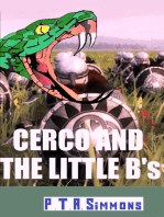 Cerco and the Little B's