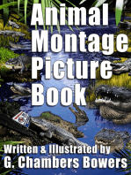 Animal Montage Picture Book