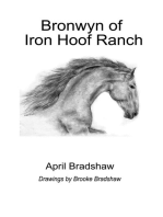 Bronwyn of Iron Hoof Ranch