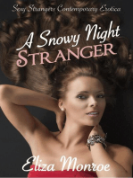 A Snowy Night Stranger