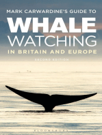 Mark Carwardine's Guide To Whale Watching In Britain And Europe: Second Edition