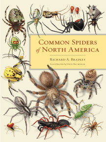 Read Common Spiders Of North America Online By Richard A Bradley Books