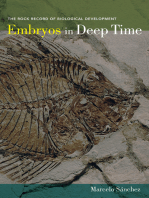 Embryos in Deep Time