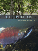 The Fish in the Forest