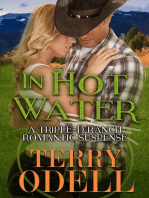In Hot Water: Triple-D Ranch, #1