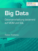 Big Data: Datenverarbeitung basierend auf MOM und SQL