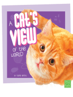 A Cat's View of the World