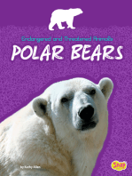 Polar Bears