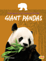 Giant Pandas