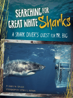 Searching for Great White Sharks