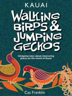 Walking Birds & Jumping Geckos