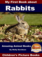 My First Book about Rabbits: Amazing Animal Books - Children's Picture Books