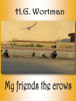 My Friends The Crows