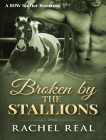 Broken by the Stallions (Blackwood Stallions, #4)