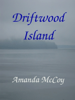 Driftwood Island