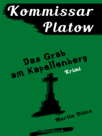 Kommissar Platow, Band 2