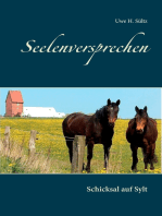 Seelenversprechen: Schicksal auf Sylt