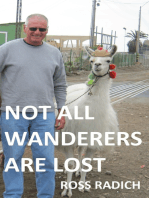 Not All Wanderers Are Lost