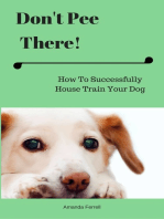 Don't Pee There! How To Successfully House Train Your Dog