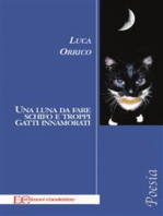 Una luna da fare schifo e troppi gatti innamorati