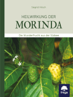 Heilwirkung der Morinda: Die Wunderfrucht aus der Südsee