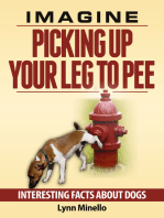 Imagine Picking Up Your Leg to Pee: Interesting Facts About Dogs