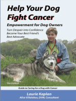 Help Your Dog Fight Cancer