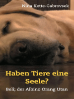 Haben Tiere eine Seele?