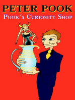 Pook's Curiosity Shop