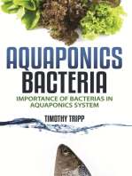 Aquaponics Bacteria: Importance of Bacterias in Aquaponics System