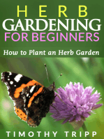 Herb Gardening For Beginners: How to Plant an Herb Garden