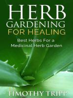 Herb Gardening For Healing: Best Herbs For a Medicinal Herb Garden