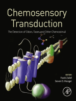 Chemosensory Transduction: The Detection of Odors, Tastes, and Other Chemostimuli