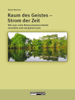 Raum des Geistes - Strom der Zeit: Wie man seine Bewusstseinszustände verstehen und navigieren kann