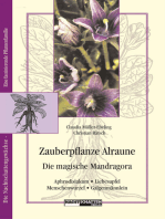 Zauberpflanze Alraune: Die Magische Mandragora: Aphrodisiakum - Liebesapfel -  Galgenmännlein