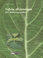 Salvia Divinorum - Die Wahrsagesalbei