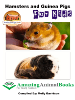 Hamsters and Guinea Pigs for Kids