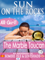 Sun on the Rocks: The Marble Toucan