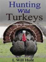 Hunting Wild Turkeys