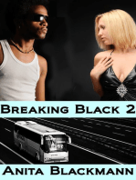 Breaking Black 2