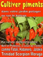 Cultiver piments dans votre jardin potager ou sur le balcon